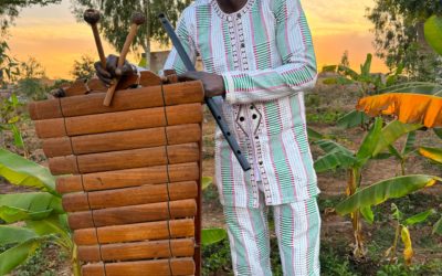 Educafon vous fera vibrer aux sons du Balafon